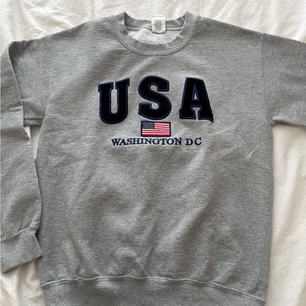 USA Washington DC Gray Sweatshirt